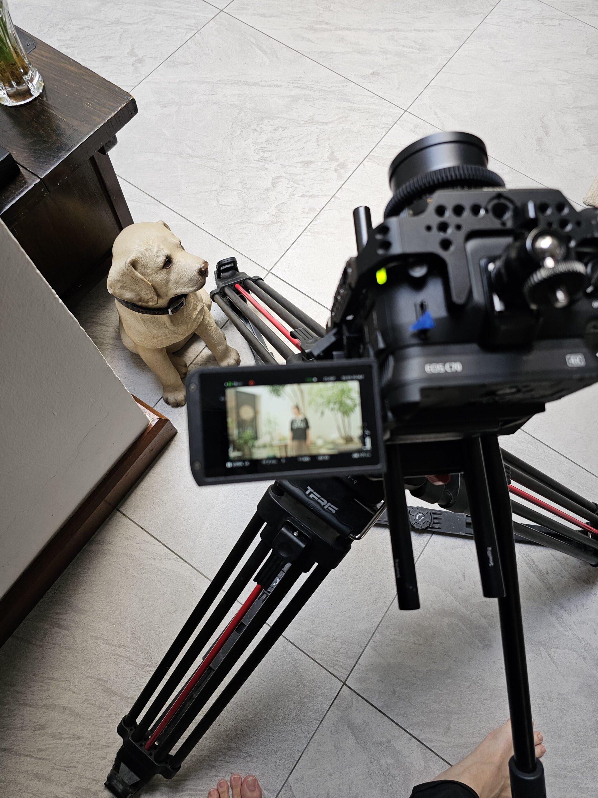 RUID79e5e231e4ca4734be6c6c810f69a70f